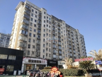 圣淘沙城市绿洲实景图，拍摄于2024/12/4