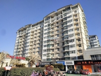 圣淘沙城市绿洲实景图，拍摄于2024/12/4