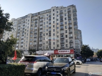 圣淘沙城市绿洲实景图，拍摄于2024/12/4