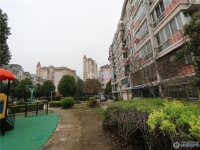 东湖苑实景图，拍摄于2024/12/4