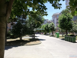 ����Է���
