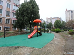 ����Է���