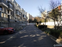 澳洋雅美阁花园实景图，拍摄于2024/12/4