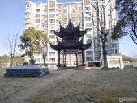 澳洋雅美阁花园实景图，拍摄于2024/12/4