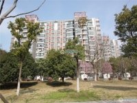 澳洋雅美阁花园实景图，拍摄于2024/12/4
