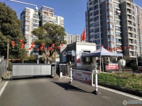 澳洋雅美阁花园实景图，拍摄于2024/12/4