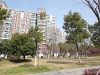 澳洋雅美阁花园实景图，拍摄于2024/12/4