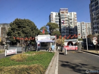 澳洋雅美阁花园实景图，拍摄于2024/12/4
