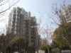 澳洋雅美阁花园实景图，拍摄于2024/12/4
