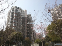 澳洋雅美阁花园实景图，拍摄于2024/12/4