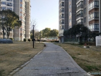澳洋雅美阁花园实景图，拍摄于2024/12/4