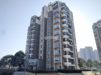 澳洋雅美阁花园实景图，拍摄于2024/12/4