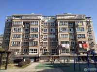 赵庄新村实景图，拍摄于2024/12/4