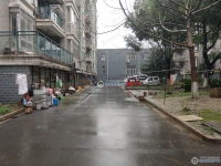 东兴苑实景图，拍摄于2024/12/4
