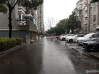 东兴苑实景图，拍摄于2024/12/4