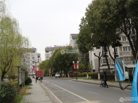 北海花苑实景图，拍摄于2024/12/4