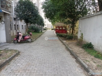 北海花苑实景图，拍摄于2024/12/4