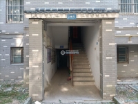 北海花苑实景图，拍摄于2024/12/4