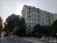 北海花苑实景图，拍摄于2024/12/4