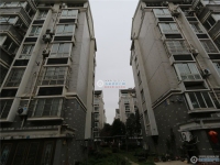 北海花苑实景图，拍摄于2024/12/4