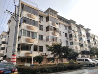 云盘二村实景图，拍摄于2024/12/4