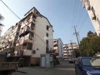 云盘二村实景图，拍摄于2024/12/4