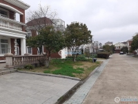 万红苑实景图，拍摄于2024/12/4
