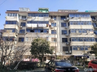 花园浜四村实景图，拍摄于2024/12/9