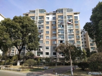 金城花园实景图，拍摄于2024/12/9