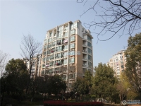 金城花园实景图，拍摄于2024/12/9