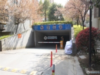 金城花园实景图，拍摄于2024/12/9