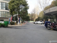 金城花园实景图，拍摄于2024/12/9