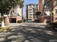 花园浜南村实景图，拍摄于2024/12/9