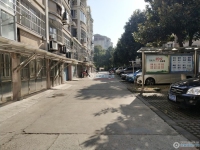 花园浜北村实景图，拍摄于2024/12/9