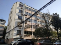 园林东村实景图，拍摄于2024/12/9