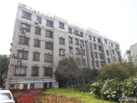 物资新村实景图，拍摄于2024/12/9
