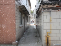 湾士岸二村实景图，拍摄于2024/12/9
