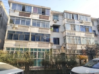 湾士岸二村实景图，拍摄于2024/12/9