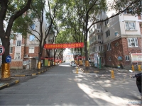长江城市花园实景图，拍摄于2024/12/9