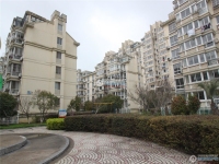 扬帆名都花苑实景图，拍摄于2024/12/9