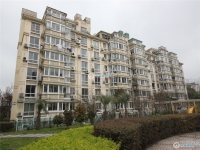 扬帆名都花苑实景图，拍摄于2024/12/9