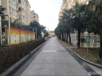 扬帆名都花苑实景图，拍摄于2024/12/9