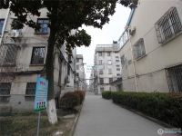 花园浜三村实景图，拍摄于2024/12/9