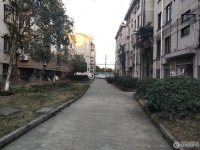 花园浜三村实景图，拍摄于2024/12/9