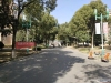 江帆花苑中区实景图，拍摄于2024/12/9