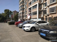 江帆花苑中区实景图，拍摄于2024/12/9