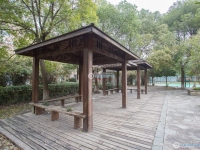江帆花苑中区实景图，拍摄于2024/12/9