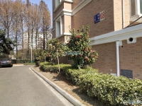江帆花苑中区实景图，拍摄于2024/12/9