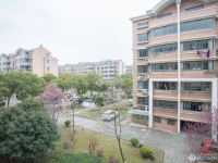 江帆花苑中区实景图，拍摄于2024/12/9