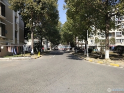 �³˻�Է���
